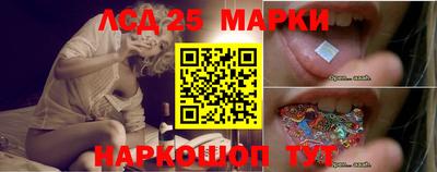 крисы Краснознаменск