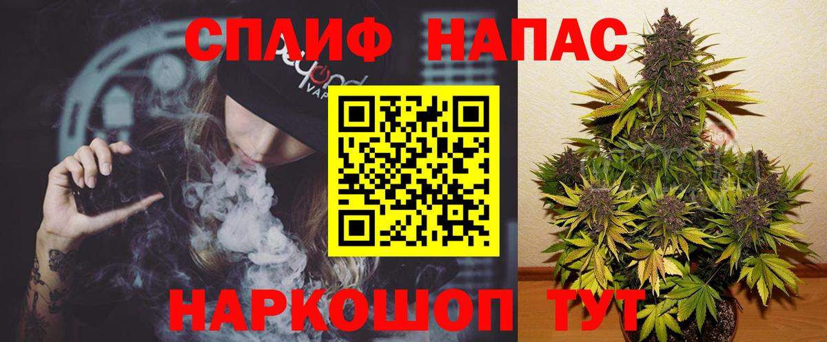 Конопля план Шахты